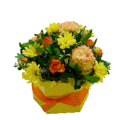 oct-box
