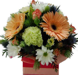 mini box arrangement
