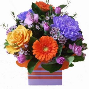 20170823_105554_20171116150120