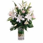 725_000_20171116150118